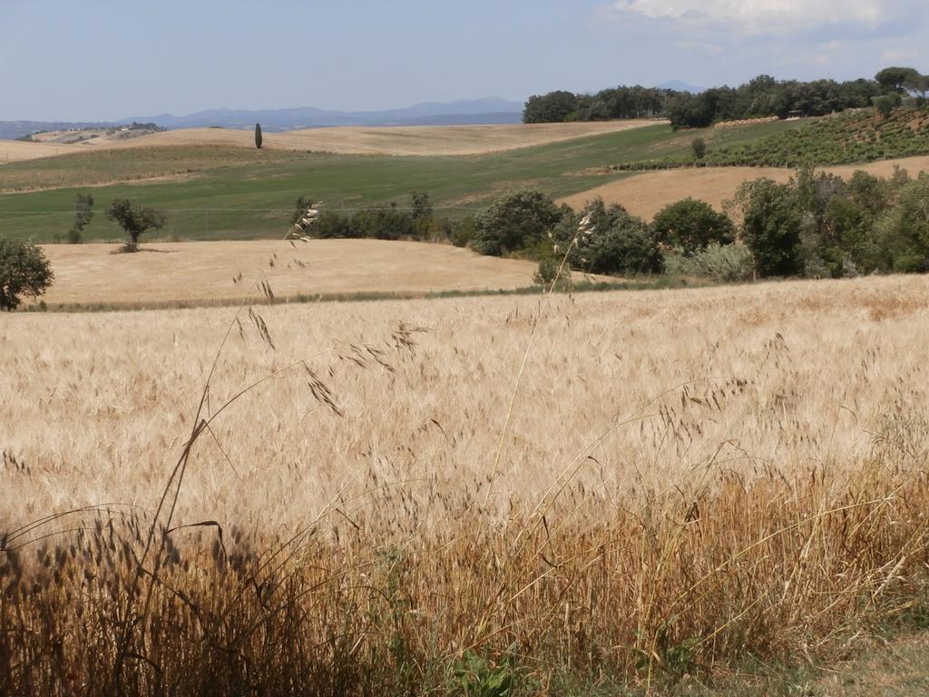 Poggio Sassineri *