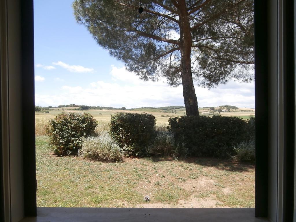 Poggio Sassineri *