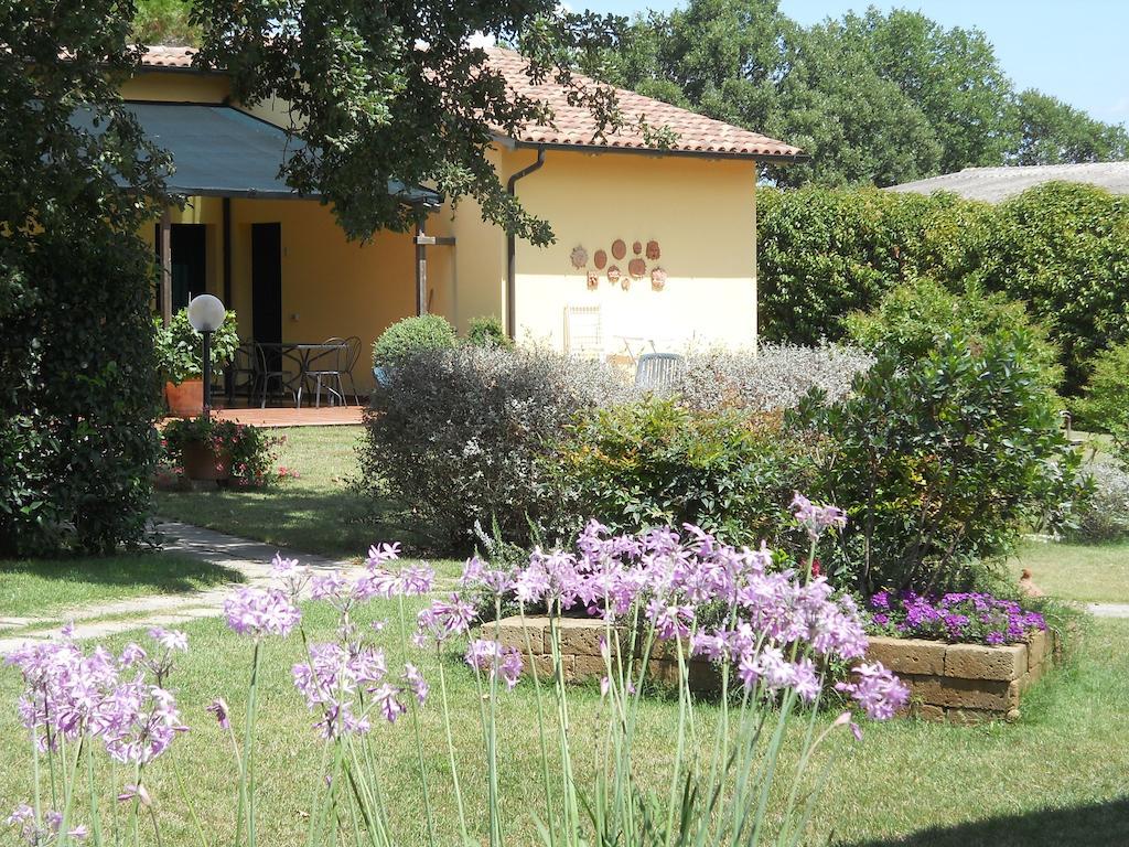 Poggio Sassineri